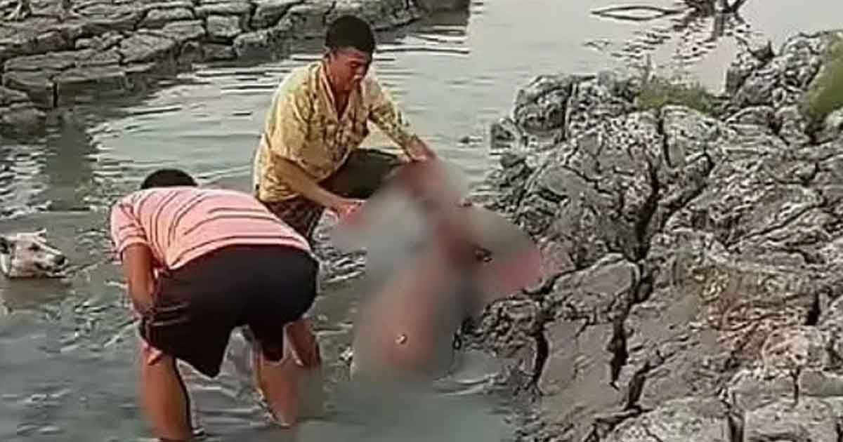 প্রকাশ্যে হরিণ জবাই: পা চেপে ধরেছেন একজন অন্যজন দা দিয়ে কোপাচ্ছেন