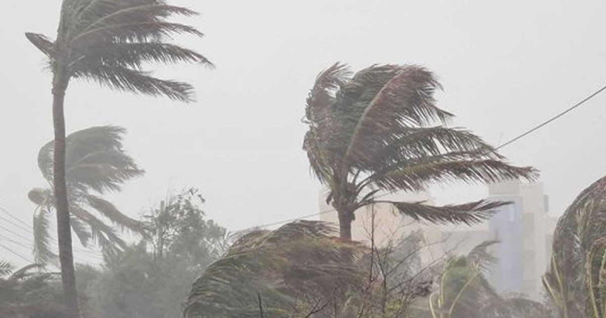১২ ঘণ্টার মধ্যে যেসব জেলায় হতে পারে ঝড়