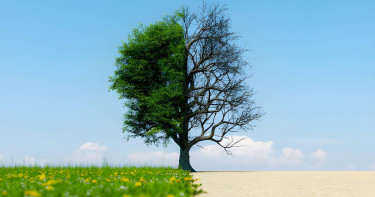 অহংকার আর ঈমানের বাস্তব উপাখ্যান