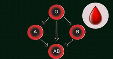 রক্তের গ্রুপ বলে দেবে আপনি কেমন, দেখে নিন