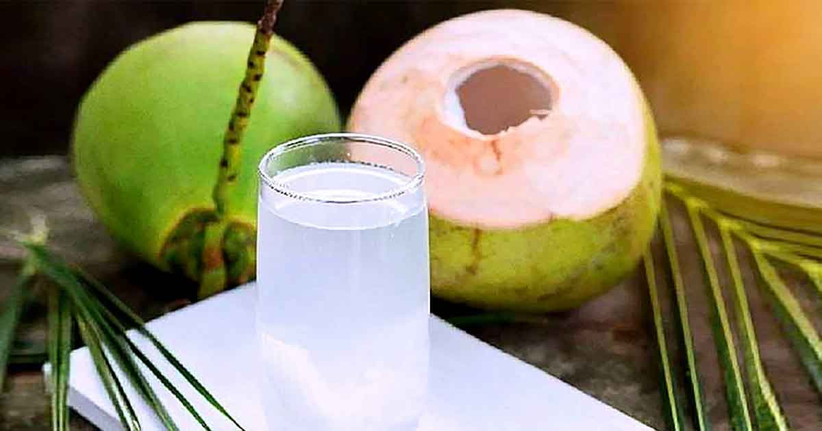 টানা ৩০ দিন ডাবের পানি পান করলে শরীরে যেসব পরিবর্তন দেখা যায়