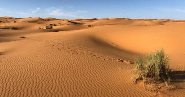 যেভাবে শহীদ হন আব্দুল্লাহ ইবনে মাখরামাহ (রা.)