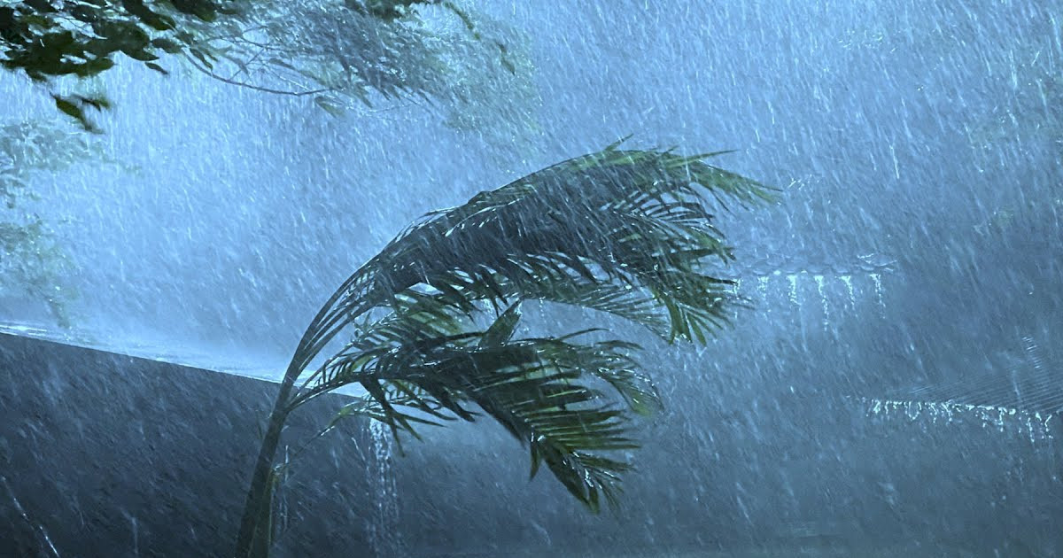 এক জেলায় দুপুরের মধ্যে দমকা হাওয়াসহ বৃষ্টির আভাস