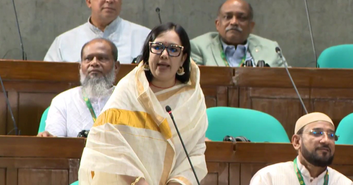 তেলের দাম বৃদ্ধি নিয়ে সংসদে ঝাঁঝালো বক্তব্য রুমিন ফারহানার