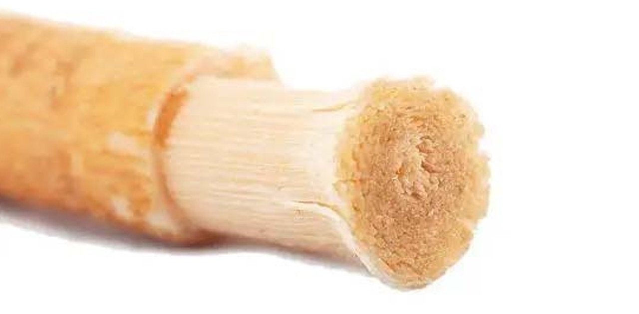 মহানবী (সা.) যে সময়ে মিসওয়াক করতেন