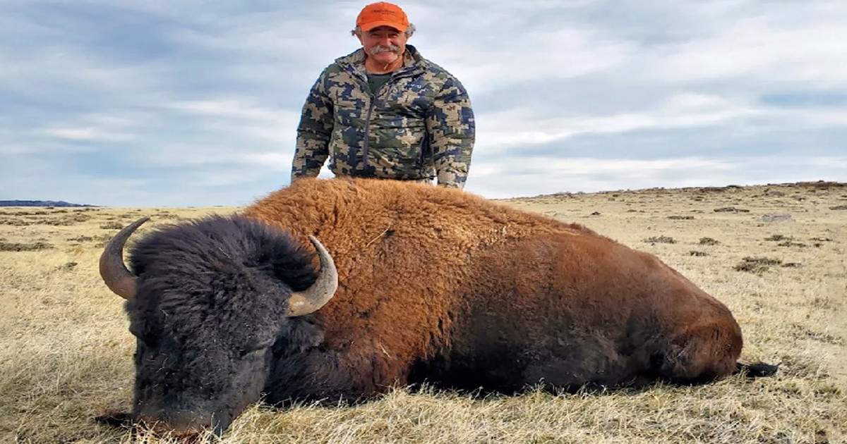 মার্কিন ধনকুবেরের আফ্রিকা সফর: শিকারে পরিণত শিকারি