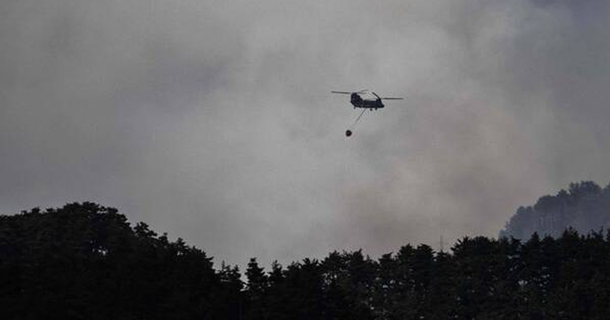 জাপানে ভয়াবহ দাবানল নিয়ন্ত্রণে নিয়োজিত ১৪০০ দমকলকর্মী