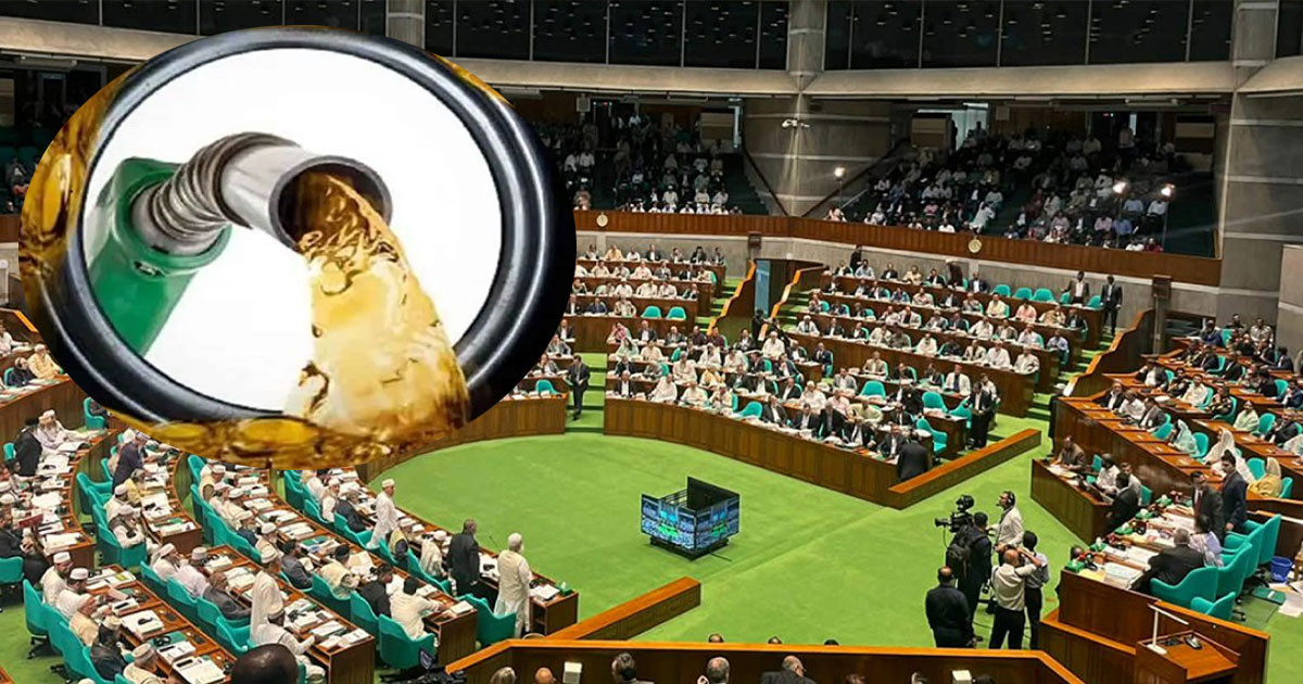 জ্বালানি সংকট মোকাবিলায় সংসদে বিশেষ কমিটি, ৩০ দিনের মধ্যে প্রতিবেদন