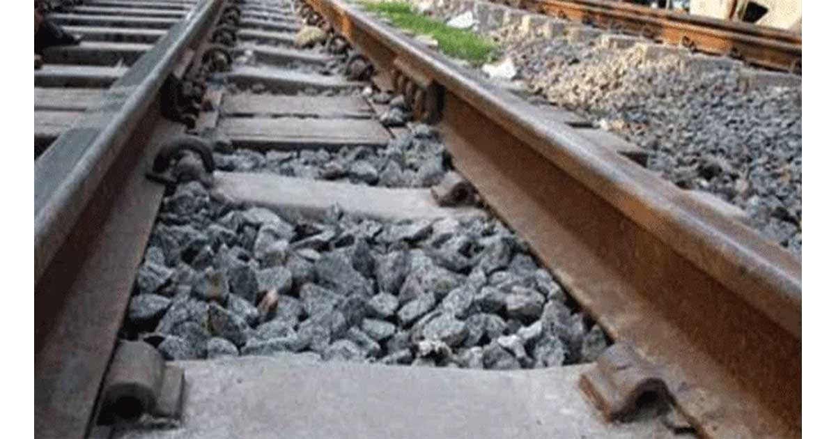 সিরাজগঞ্জে ট্রেনে কাটা পড়ে মালিকসহ ৩ গরুর মৃত্যু