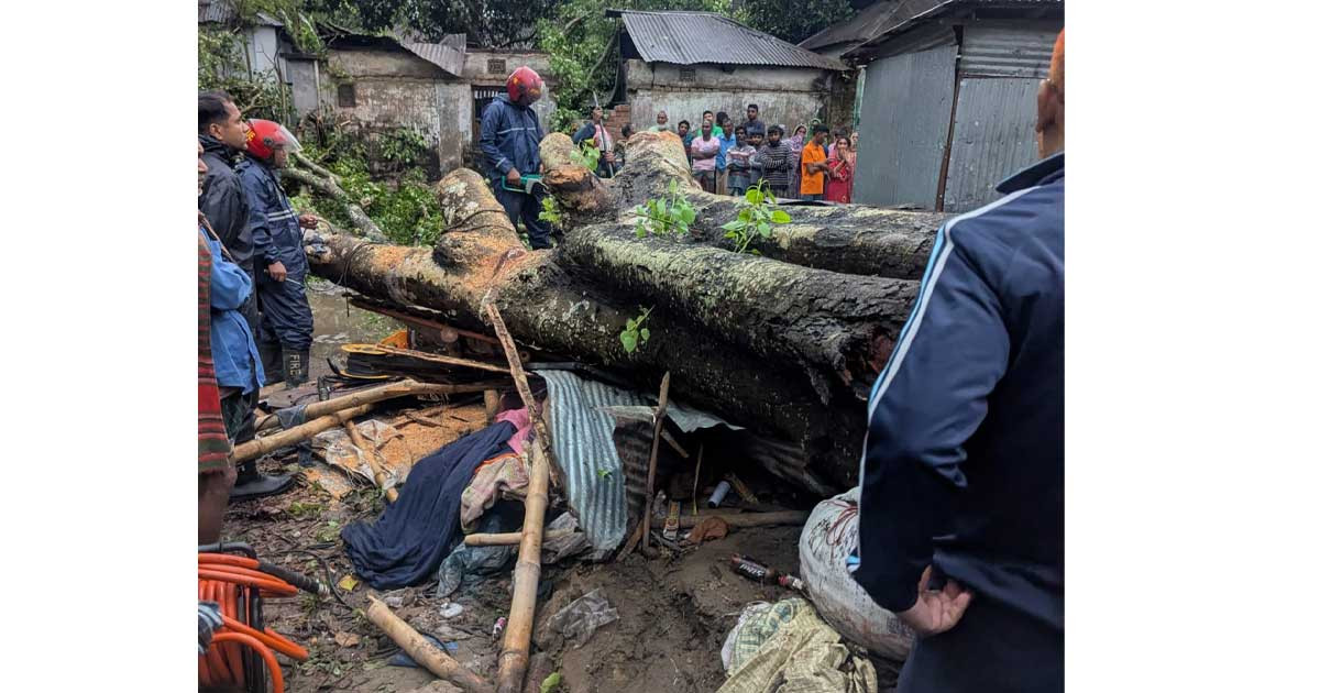 কালবৈশাখী ঝড়ে নিজ দোকানে গাছচাপায় ব্যবসায়ী নিহত