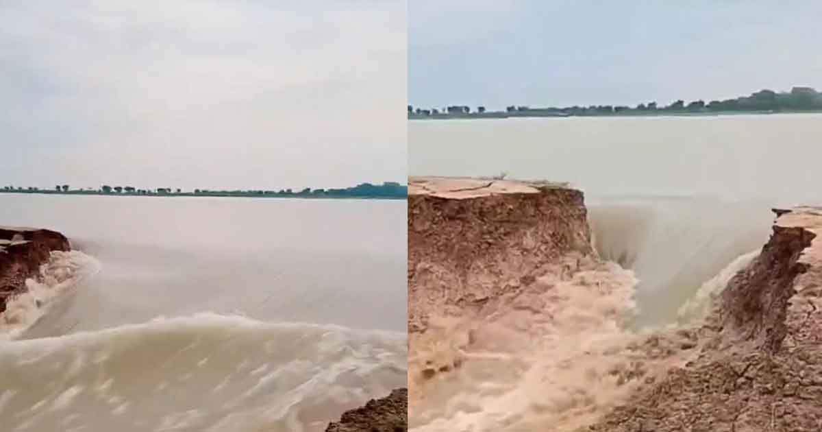 একদিনেই ভেঙে গেল বাঁধ, তলিয়ে যাচ্ছে হাওরের ধান