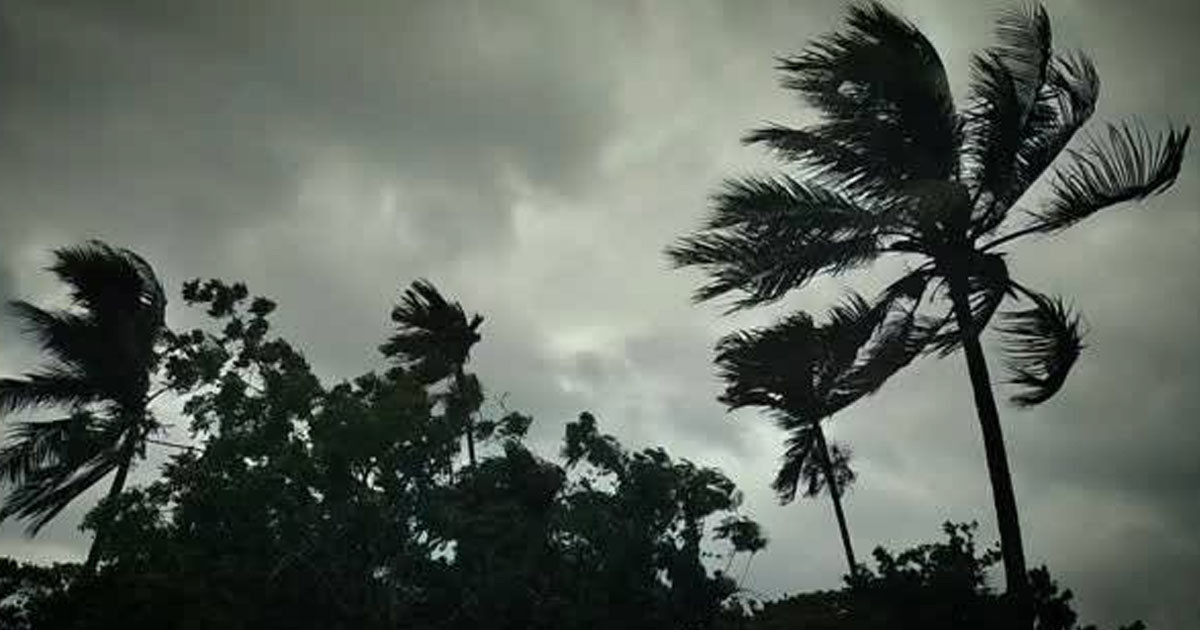 পটুয়াখালীতে বজ্রপাতে ৪ জনের মৃত্যু