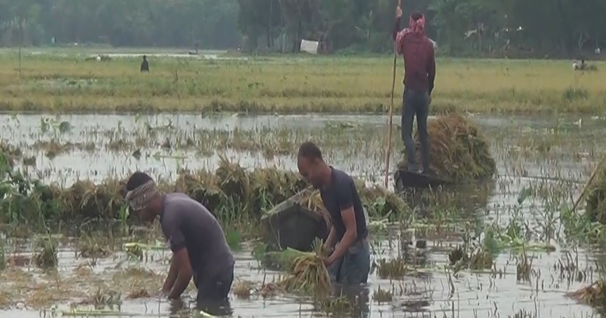 ভারী বর্ষণ ও পাহাড়ি ঢলে নিম্নাঞ্চল প্লাবিত