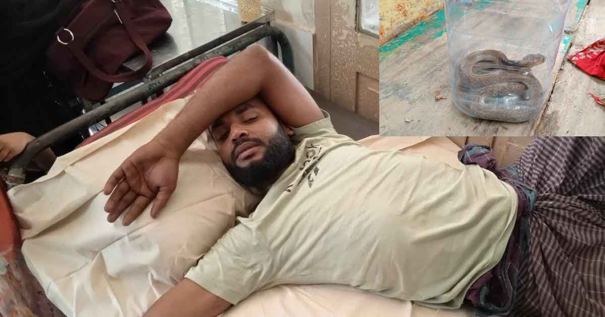 কামড় দেওয়া জীবিত সাপ নিয়েই হাসপাতালে যুবক