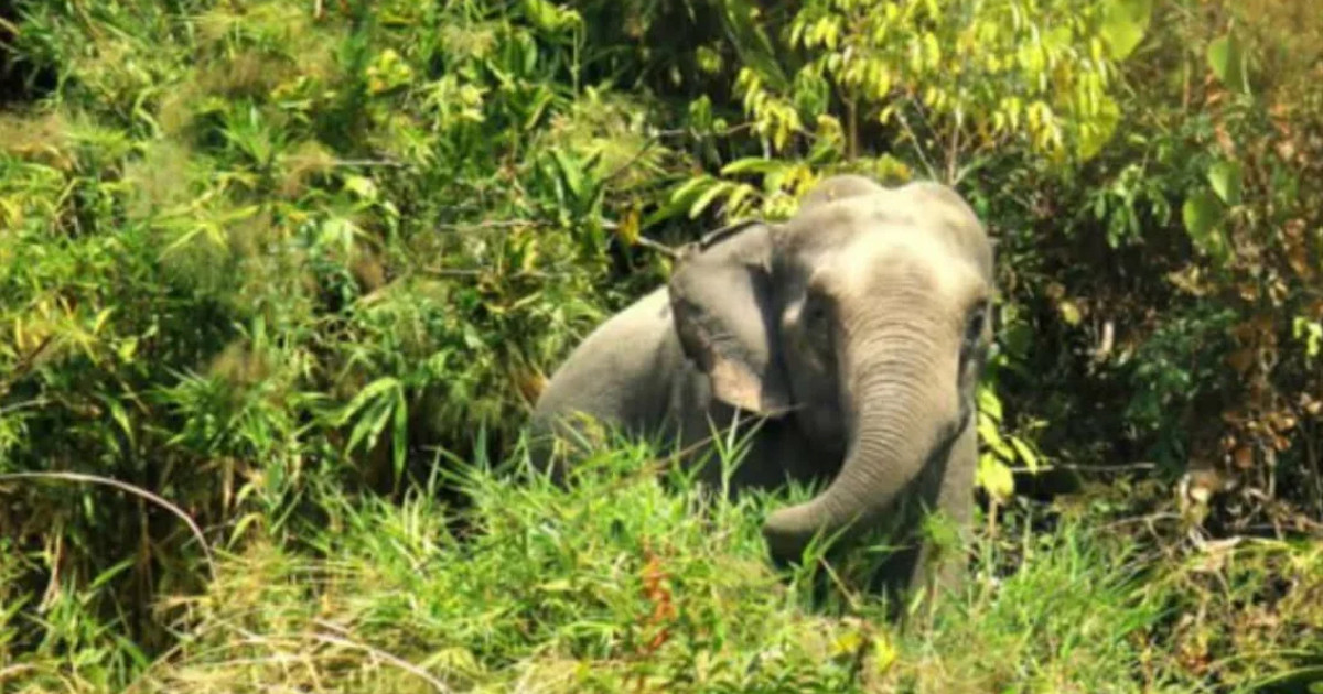 চোখের সামনে মা-মেয়েকে আছাড় মেরে হত্যা, ছেলেকে নিয়ে পালিয়ে বাঁচলেন বাবা