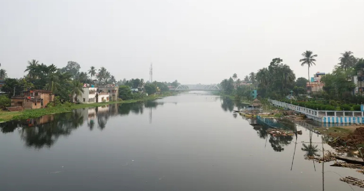 সীমান্তে সাপ-কুমির ছাড়ার পরিকল্পনা ভারতের, বিশ্বের আর কেউ এটা করেছে?