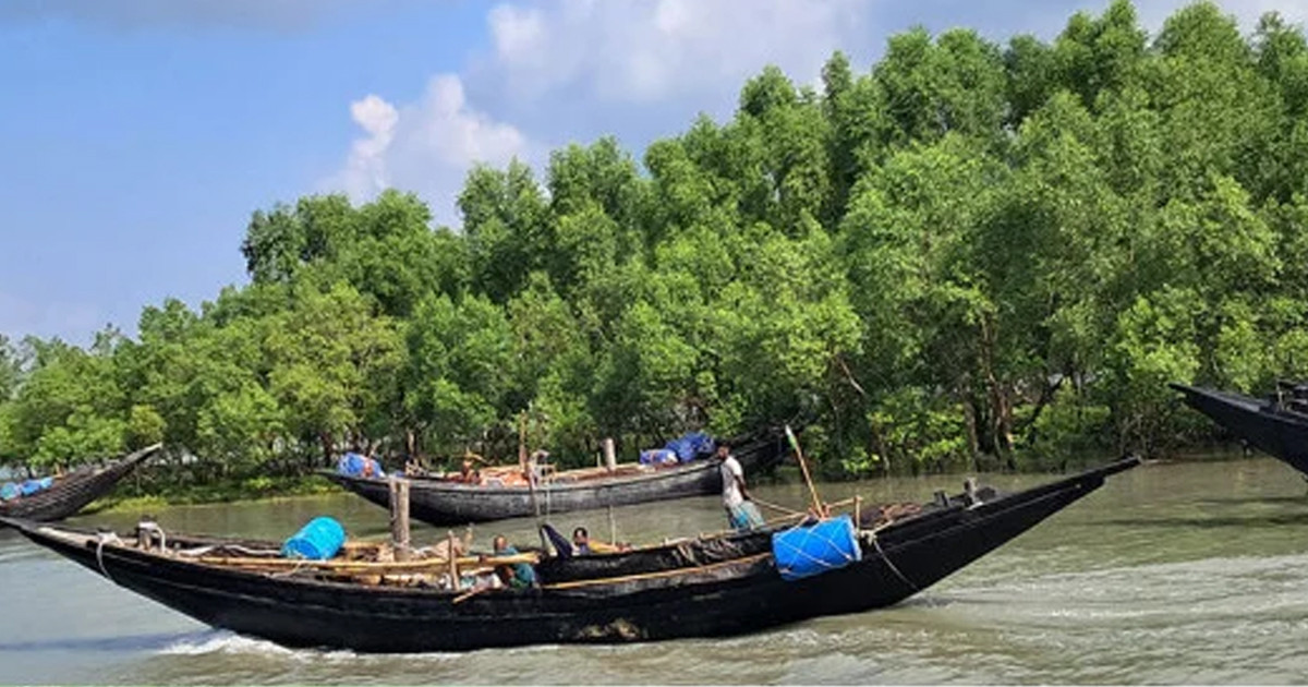 মুক্তিপণ দিয়ে ১৩ দিন পর সুন্দরবন থেকে ফিরলেন ৬ জেলে