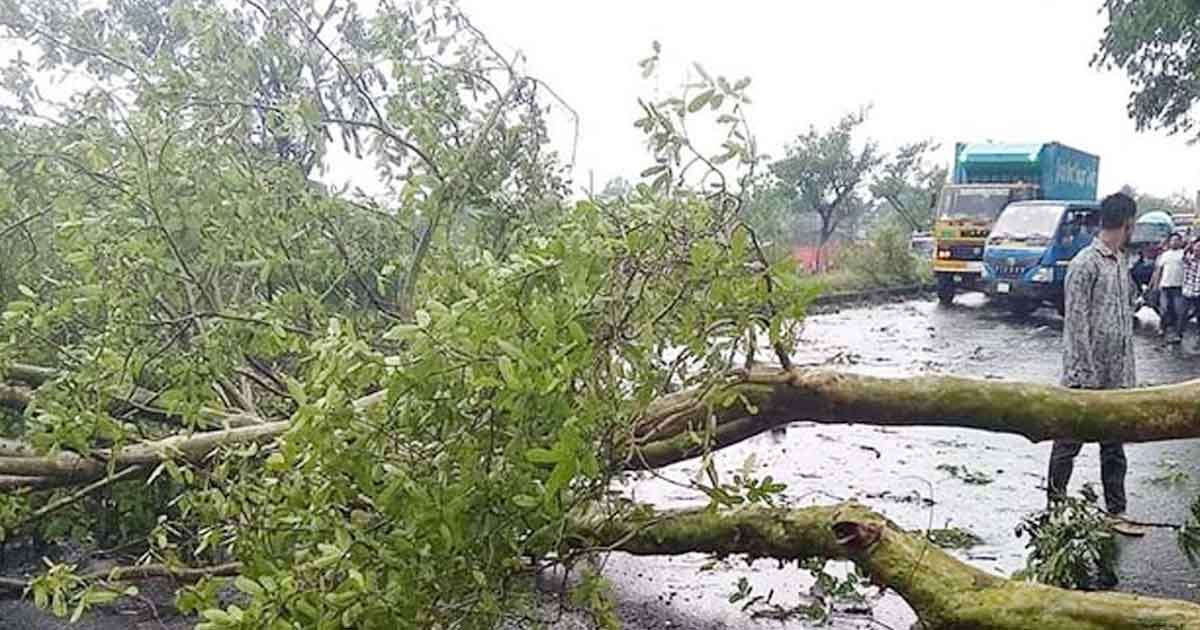 কালবৈশাখী ঝড়ে গাছ পড়ে দুই জেলায় নিহত ২
