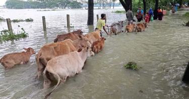 ৫ জেলায় বন্যার শঙ্কা