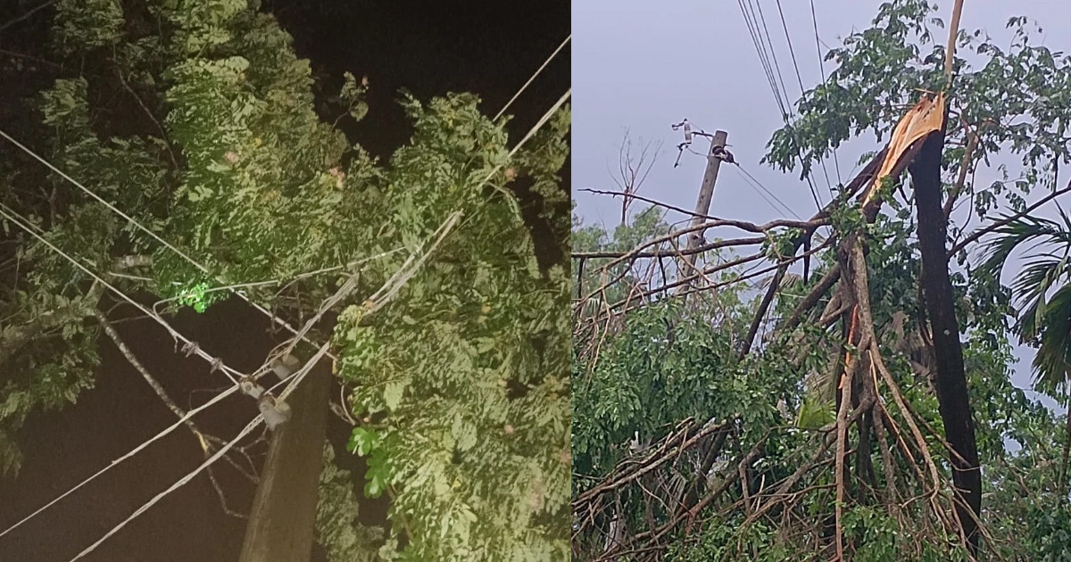 কালবৈশাখীর ঝড়ে অন্ধকারে ২০ হাজার গ্রাহক