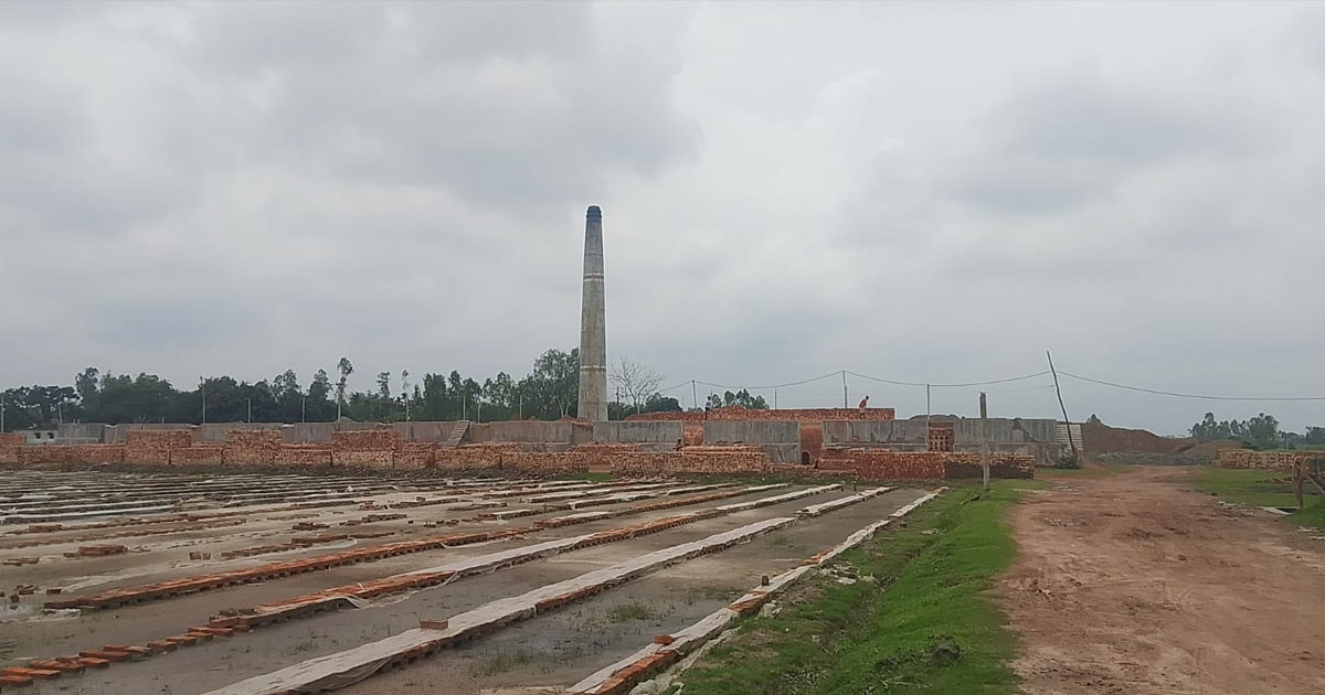 পীরগঞ্জে ইটভাটার বিষাক্ত ধোঁয়ায় পুড়ে ছাই বোরো ধান