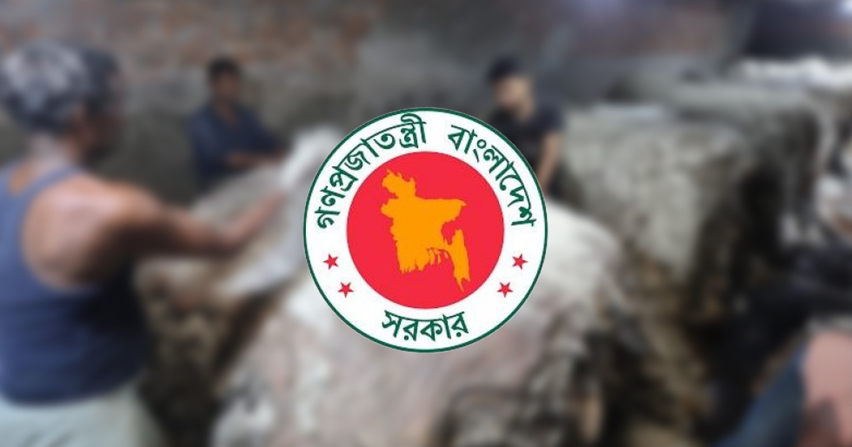 চামড়া সংরক্ষণে গ্রাম-উপজেলায় বিনামূল্যে লবণ দেবে সরকার
