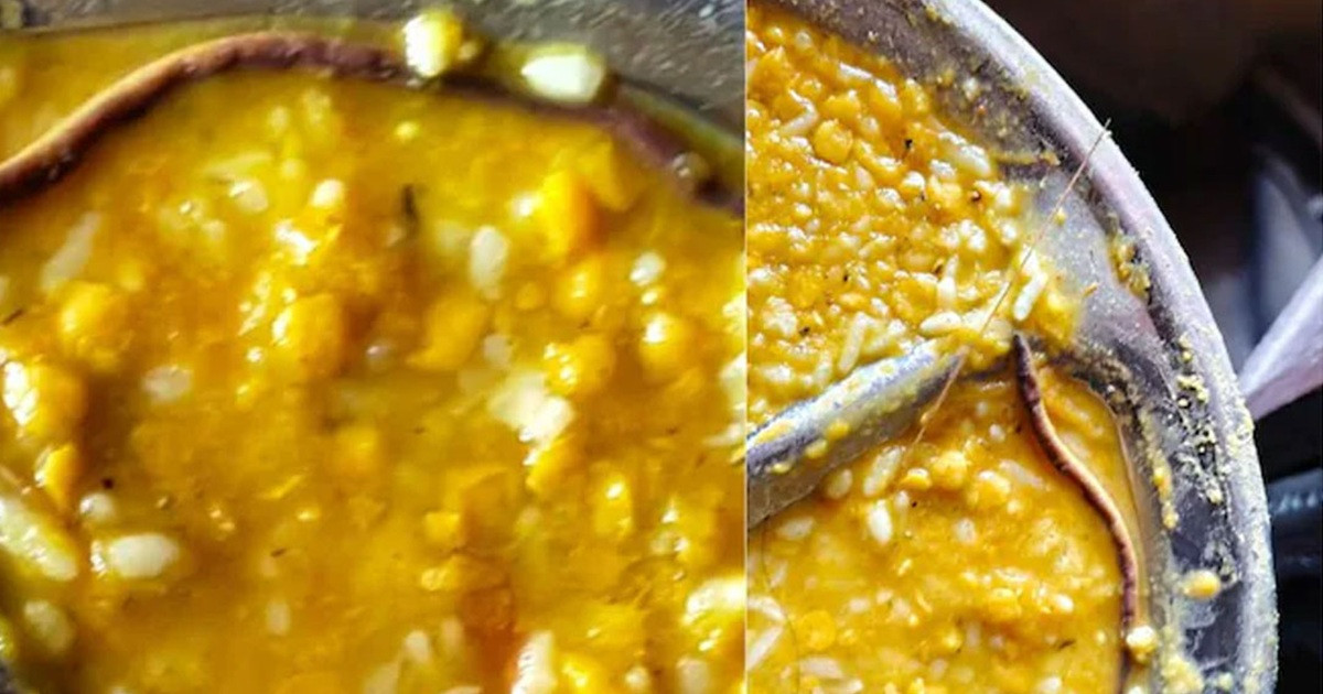 স্কুলের খাবারে সাপের বাচ্চা, হাসপাতালে শতাধিক শিক্ষার্থী