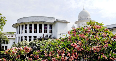 মুক্তিযুদ্ধ মন্ত্রণালয়ের সচিব-জামুকার ডিজিকে হাইকোর্টে তলব