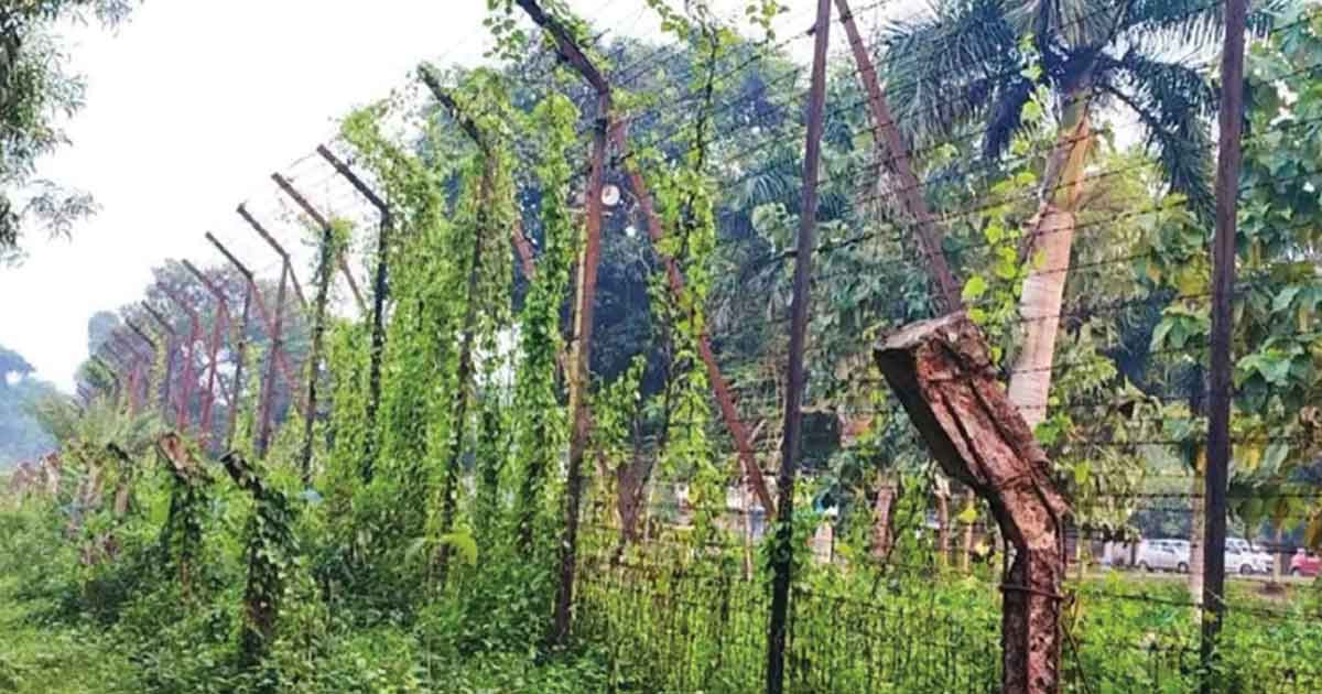 ব্রাহ্মণবাড়িয়ার কসবা সীমান্তে বিএসএফের গুলিতে যুবক নিহত
