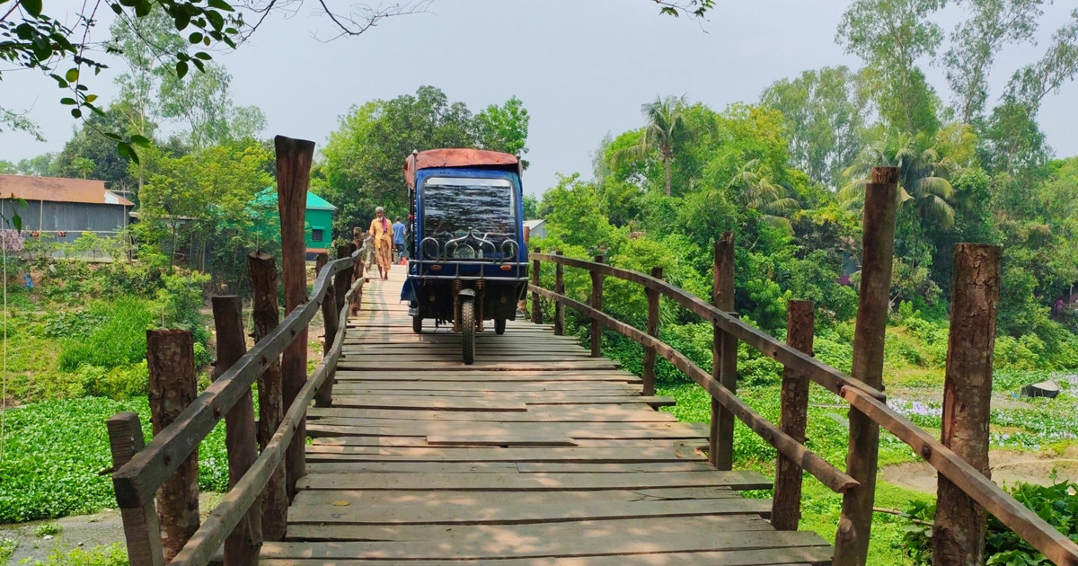 স্বাধীনতার ৫৪ বছরেও হয়নি সেতু, ২০ গ্রামের মানুষের ভরসা কাঠের সাঁকো