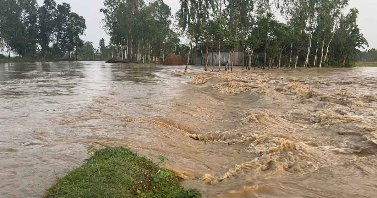 শেরপুরে বাঁধ ভেঙে ঢুকছে পাহাড়ি ঢলের পানি, প্লাবনের শঙ্কায় নিম্নাঞ্চল