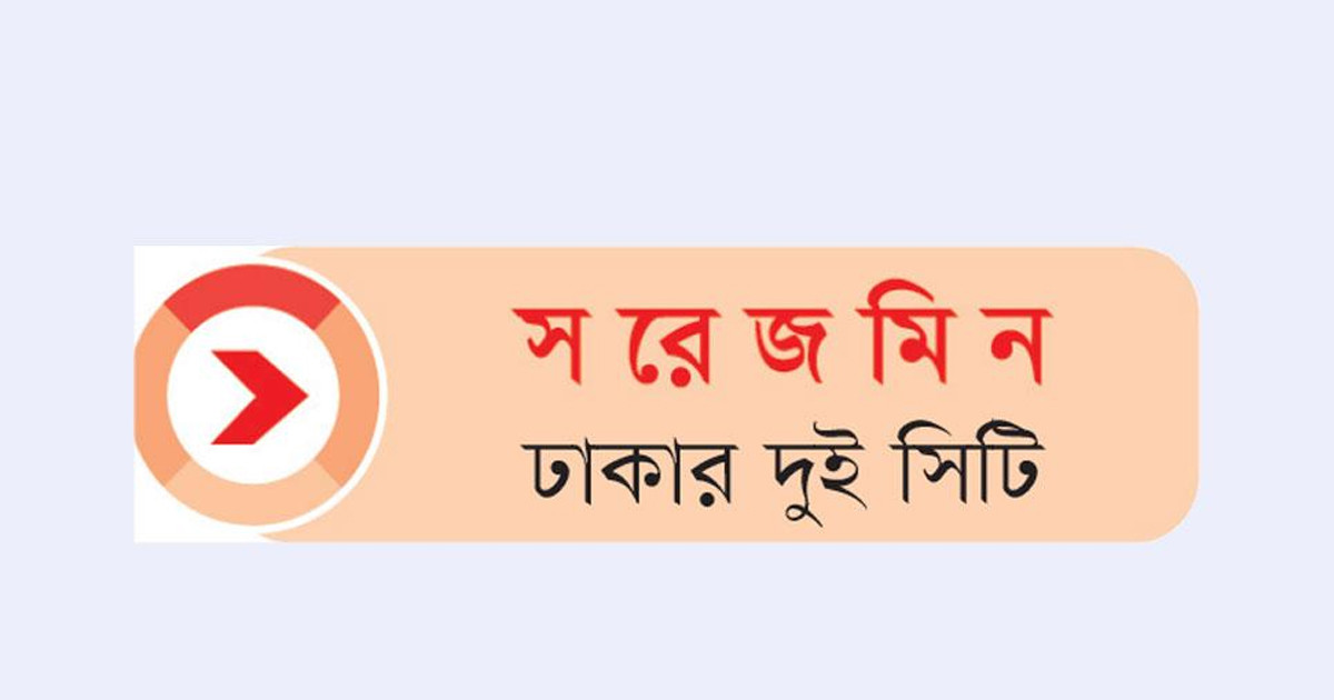 কাঁচাবাজার ও পাবলিক টয়লেটে ঘুরে বেড়াচ্ছে অসুখের উপাদান
