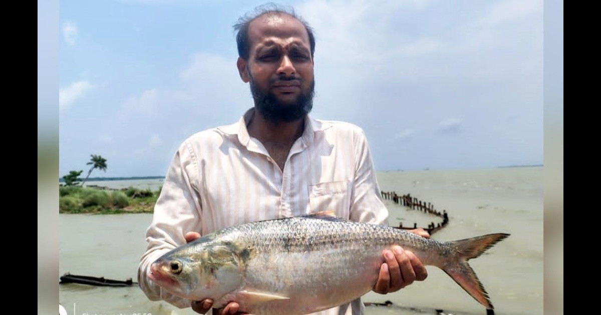 জেলের জালে ২ কেজির ইলিশ, বিক্রি হলো কত টাকায়?