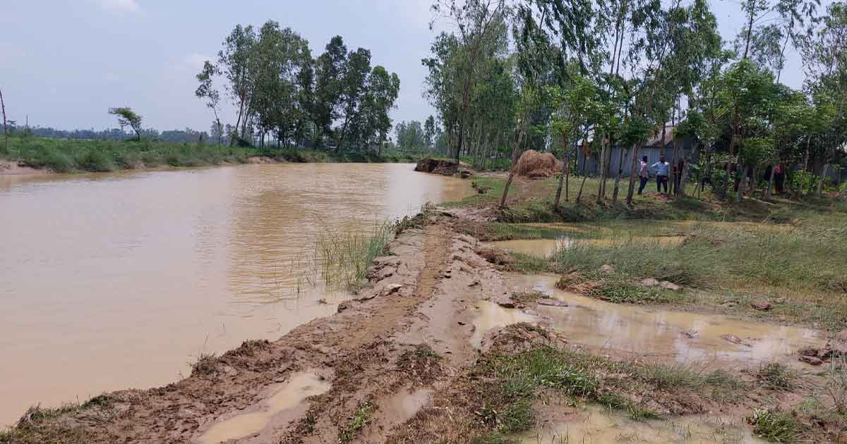 শেরপুরে কমতে শুরু করেছে পাহাড়ি ঢলের পানি, সব নদীর পানি বিপদসীমার নিচে