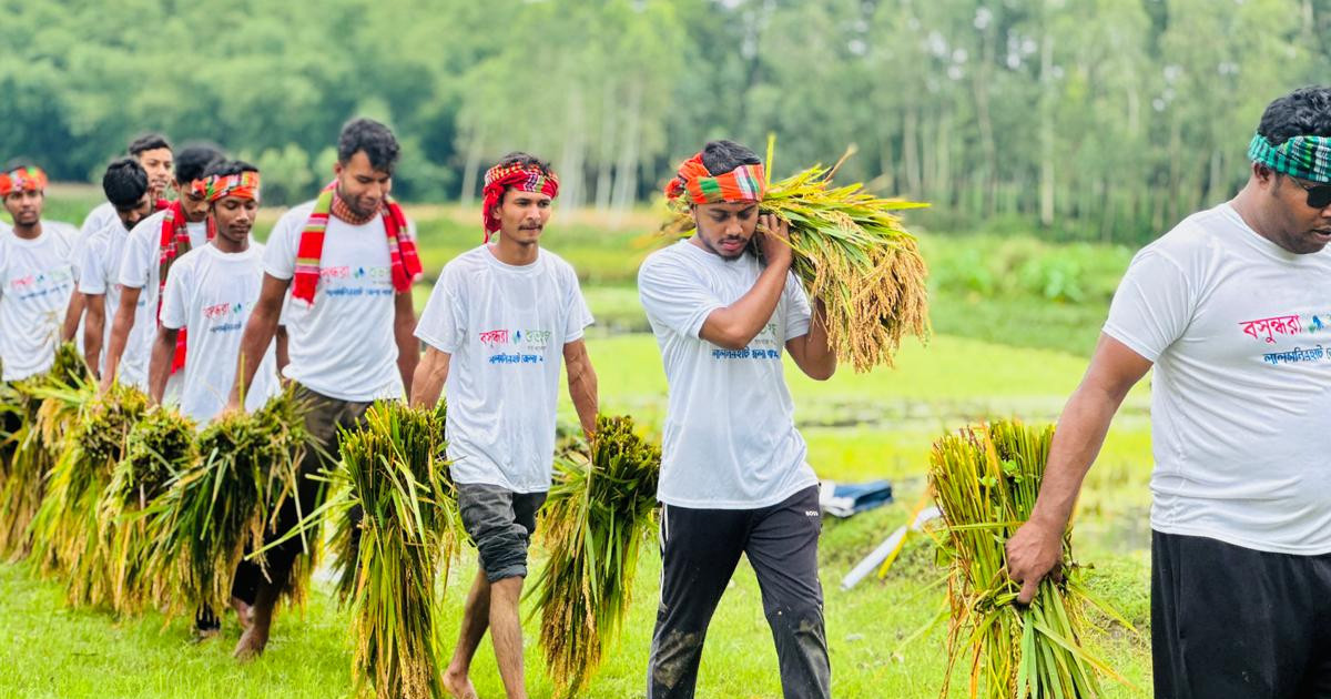 ডুবে যাওয়ার আগে কৃষকের ধান ঘরে তুলে দিলো বসুন্ধরা শুভসংঘ