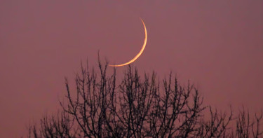 কোরবানির ঈদ কবে, জানালো আমিরাতের জ্যোতির্বিজ্ঞান কেন্দ্র