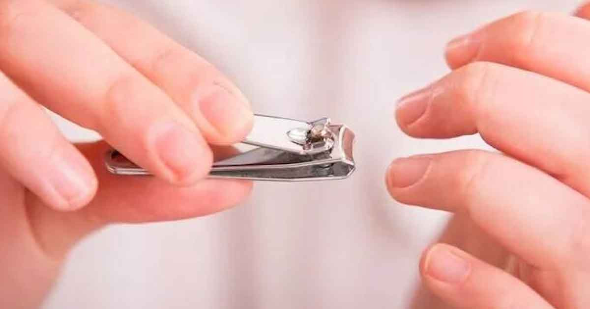 কোরবানি দাতার চুল ও নখ কাটার নিয়ম