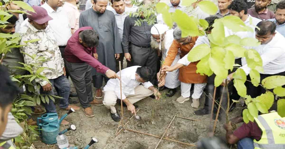 মিয়াওয়াকি পদ্ধতিতে বনায়ন শুরু করলো ডিএনসিসি