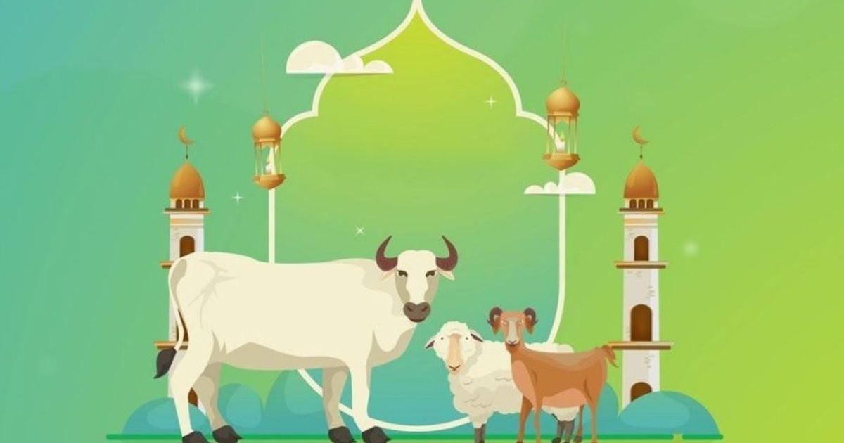 কোরবানি কবুল হয় না যে ৬ কারণে
