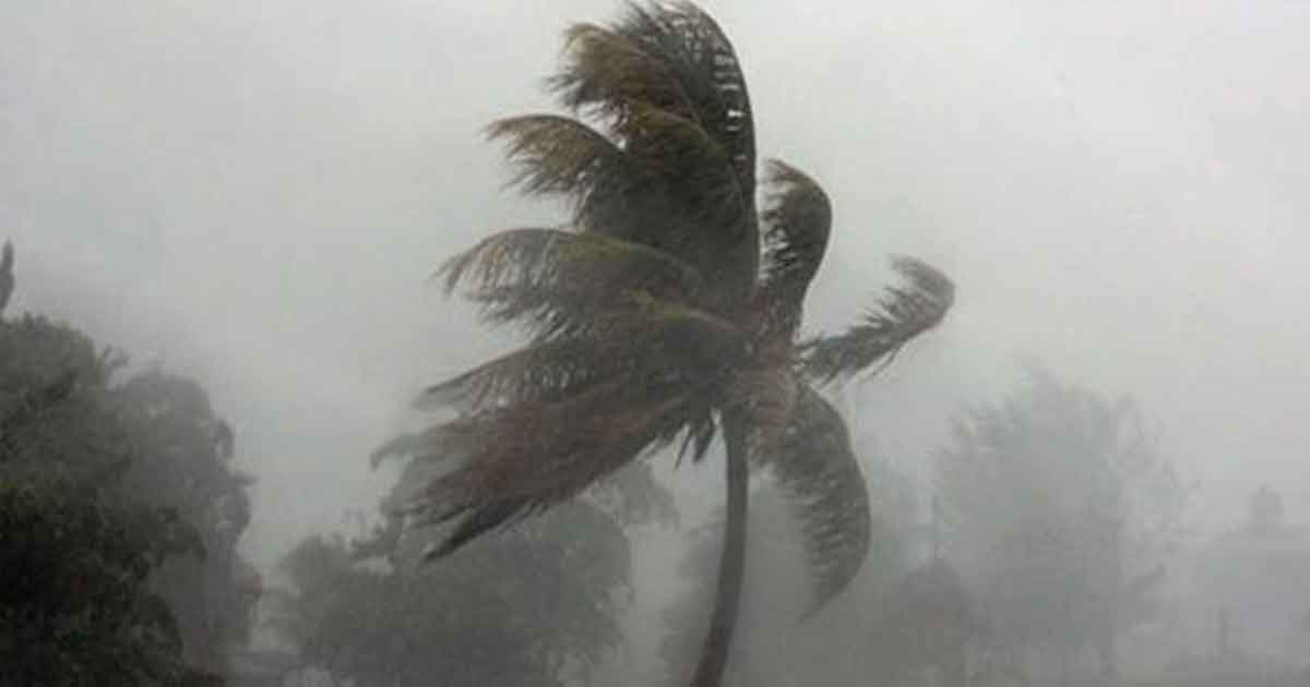 ৩ জেলায় ৮০ কিমি বেগে ঝড়ের আভাস, নদীবন্দরে হুঁশিয়ারি সংকেত
