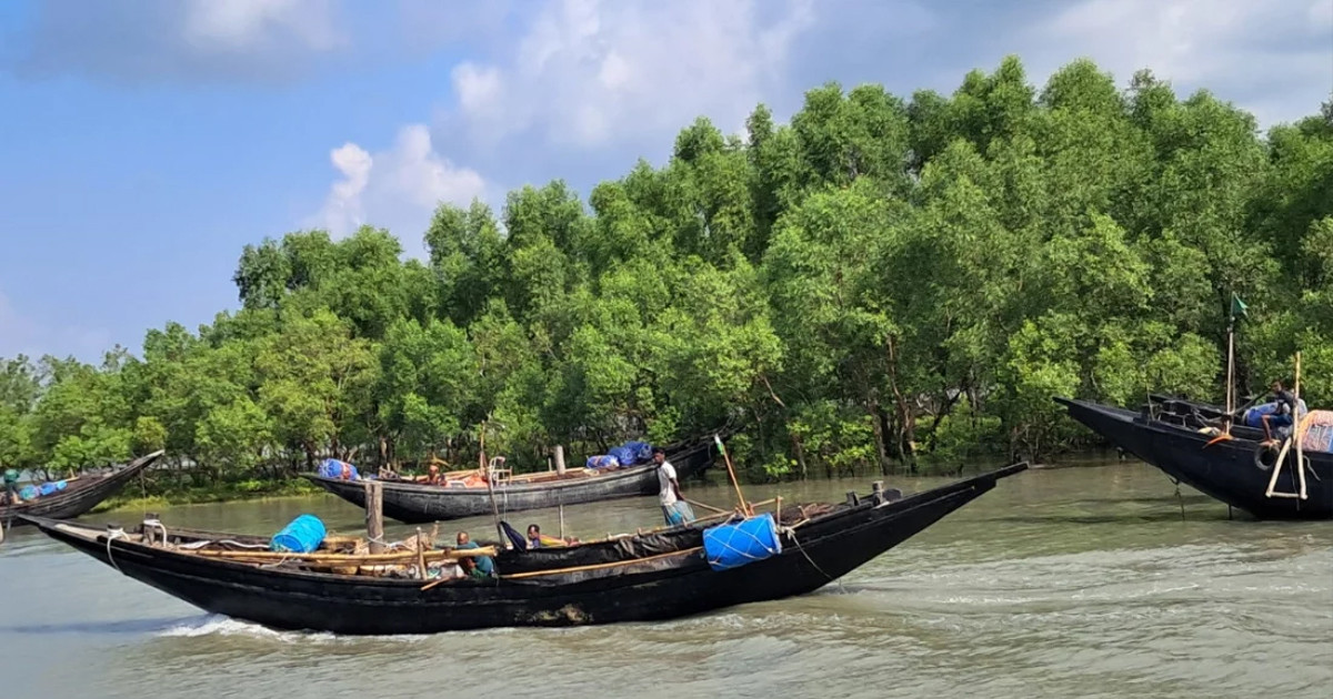 সুন্দরবনের ১২ জেলেকে ধরে নিয়ে গেছে ‘জাহাঙ্গীর বাহিনী’