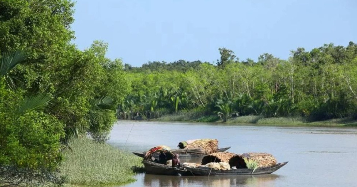 সুন্দরবনে ট্রলারসহ ১২ জেলে অপহরণের অভিযোগ