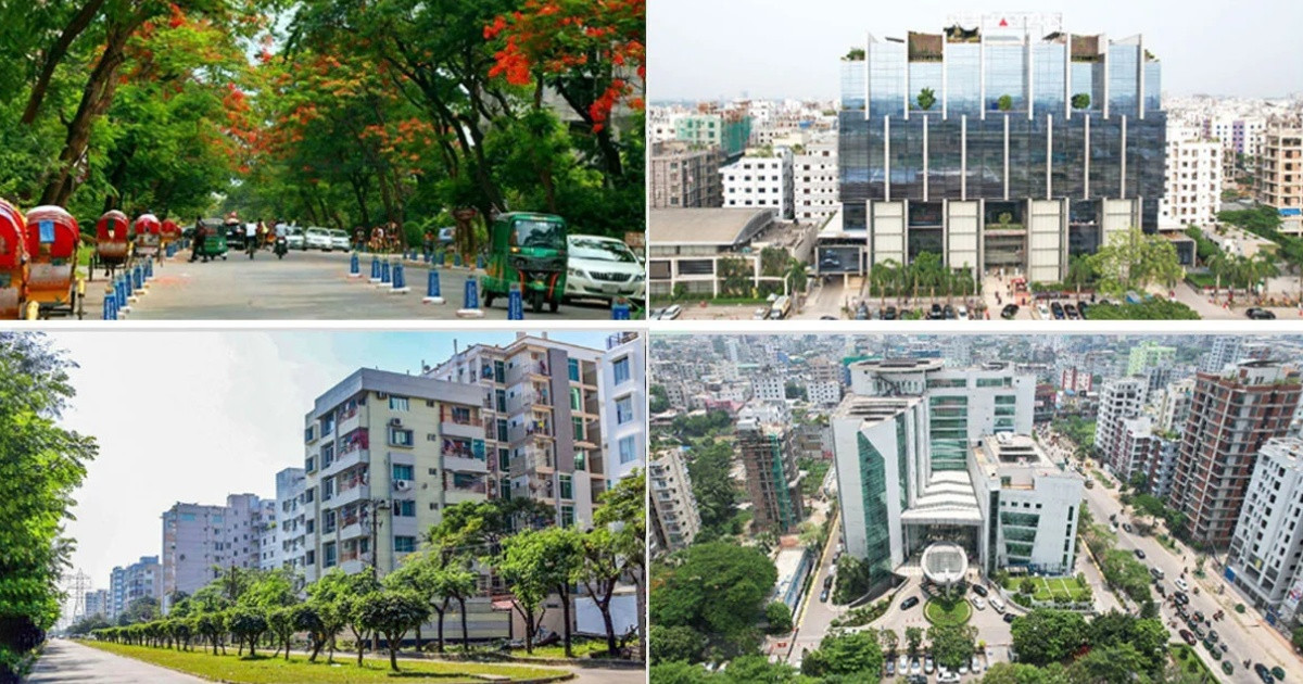তারেক রহমানের কাছে খোলা চিঠি