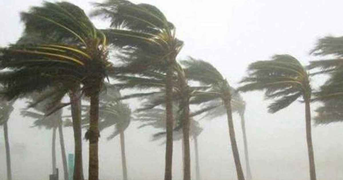 ১১ জেলায় ৮০ কিলোমিটার বেগে ঝড়ের শঙ্কা