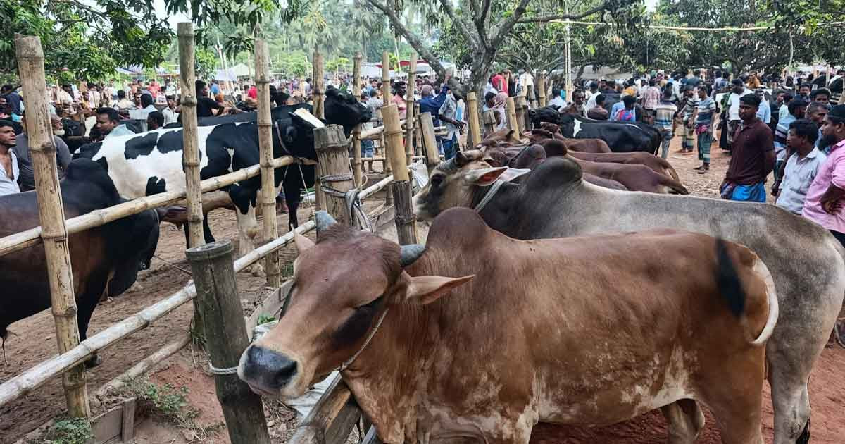 ঈদে সাতক্ষীরায় ৪৫০ কোটি টাকার বাণিজ্যের সম্ভাবনা