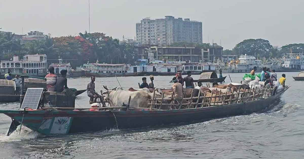 দয়াল বললেন, ‘গরীব মানুষ রক্ষা করুন, আমার ৩৬ গরু অন্যহাটে নিয়ে গেছে’