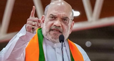 বাংলাদেশ-পাকিস্তান সীমান্তে ‘স্মার্ট বর্ডার’ প্রকল্প চালুর ঘোষণা ভারতের