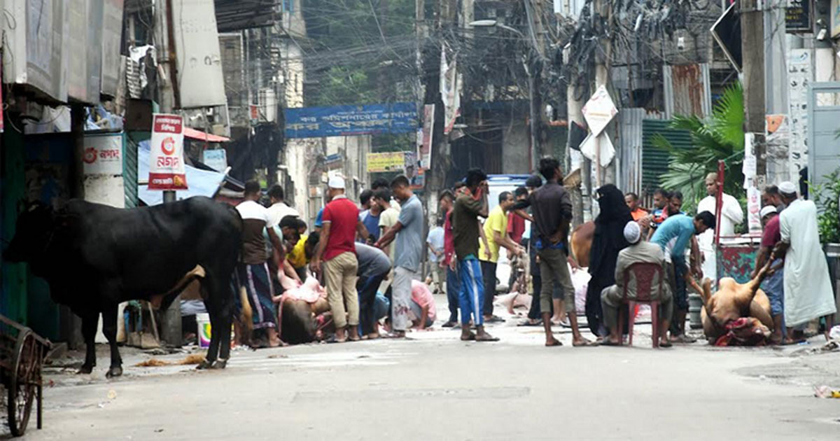 ঈদের জামাত শেষে সারা দেশে চলছে পশু কোরবানি
