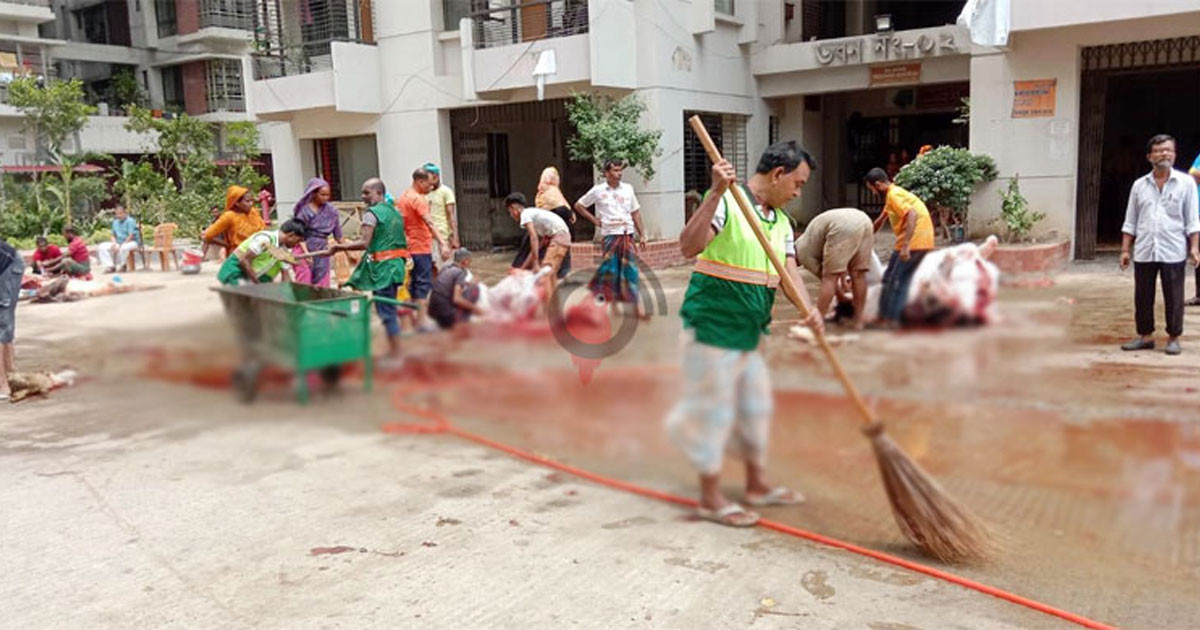 ঈদের দিনই পরিচ্ছন্ন রাজধানী গড়তে নিরলস কাজ করছেন পরিচ্ছন্নকর্মীরা