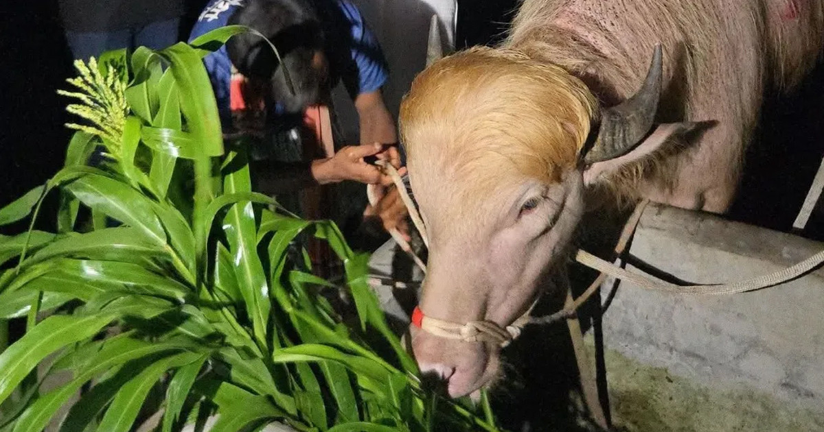 চিড়িয়াখানায় কী পরিমাণ খাবার খাচ্ছে ‘ডোনাল্ড ট্রাম্প’